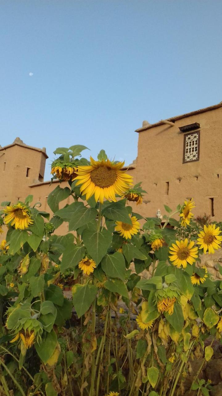 Kasbah Izoran Hotel Midelt Ngoại thất bức ảnh