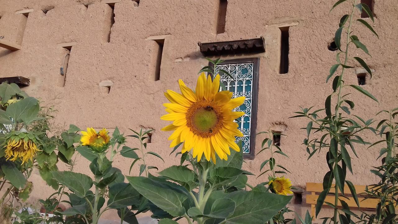 Kasbah Izoran Hotel Midelt Ngoại thất bức ảnh