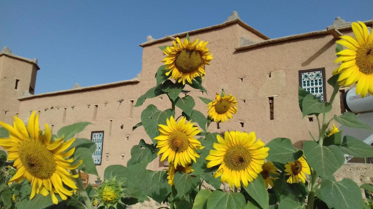 Kasbah Izoran Hotel Midelt Ngoại thất bức ảnh