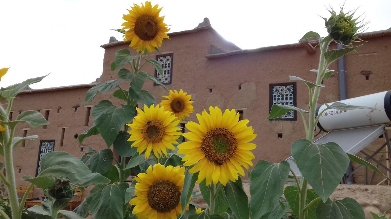 Kasbah Izoran Hotel Midelt Ngoại thất bức ảnh