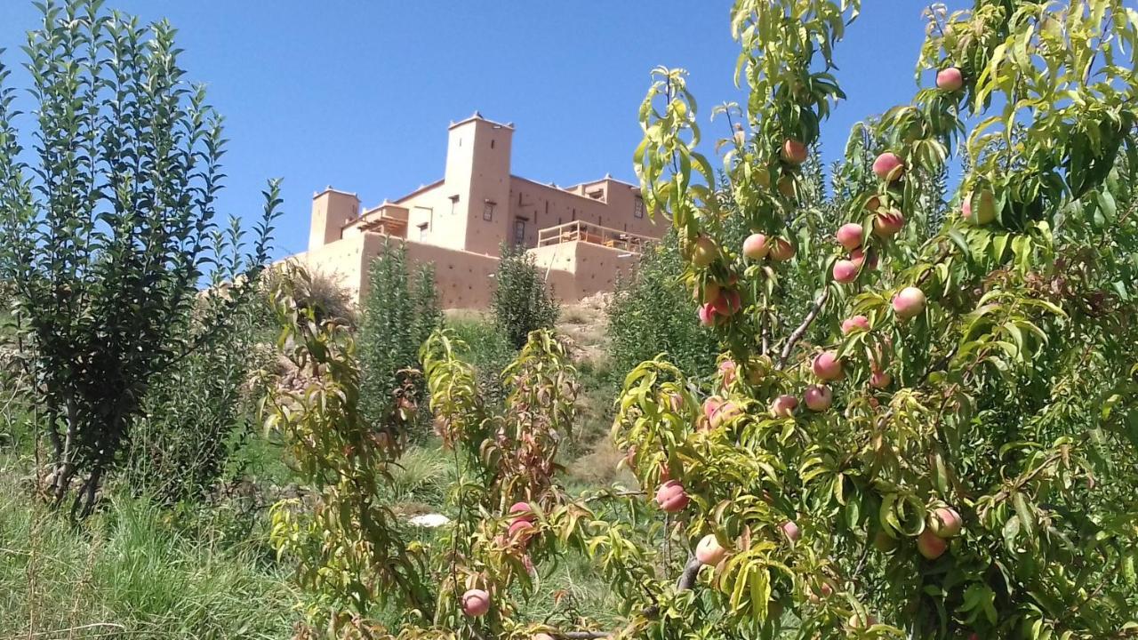 Kasbah Izoran Hotel Midelt Ngoại thất bức ảnh